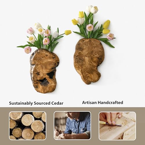 JOLLYMER 2-Pack Cedar Wood Live Edge Wall Vases – Natural Edge Hanging Flower Vase, Organic Root Carved, Rustic Home Décor, Handcrafted Wall Mounted Wooden Vase (Flowers Not Included)