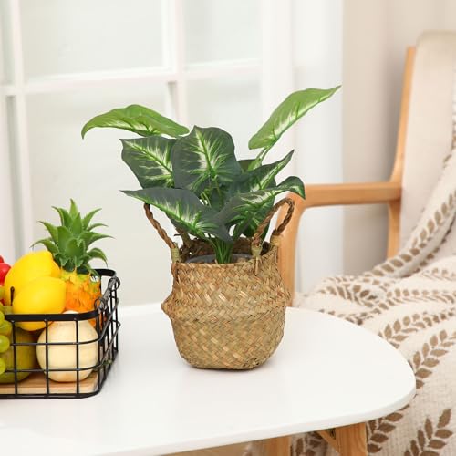 Qunclay 4 Pcs Woven Seagrass Baskets Belly Basket Folding Boho Natural Plant Pot with Handles Round Decorative Wicker Large Indoor Planter for Home Outdoor Tree Planters Decor (Xs,7.9''dx6.3''h) - size: XS,7.9''Dx6.3''H