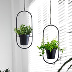 Modern Metal Hanging Planters with 5 Inch Pots - Set of 2 Oval Geometric Plant Hangers - Black Wall and Ceiling Mount Flower Holders for Indoor and Covered Outdoor Houseplants - size: OVAL-5 INCH POT