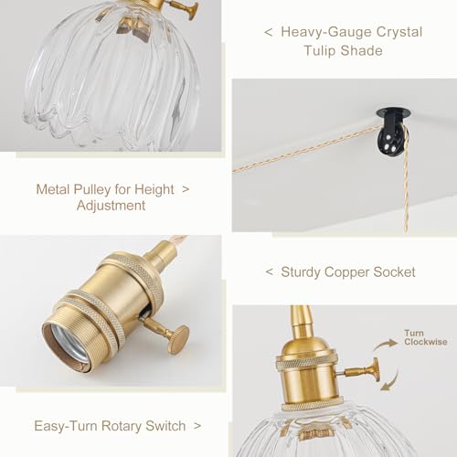 Plug in Pendant Light Fixtures, Hanging Light Fixture Vintage Glass Pendant Light, Mini Transparent Tulip Hanging Lamp, Pendant Lighting for Kitchen Island, Bedroom, Dining Room, Living Room - color: Tulip Transparent