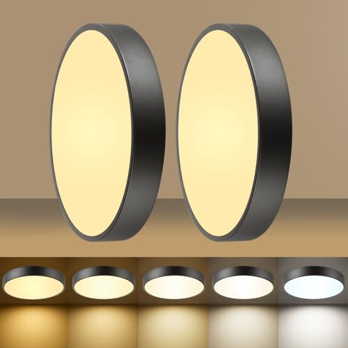 24W Dimmable Ceiling Light Fixture, 12 inch Flush Mount Light Fixture, LED Ceiling Lights Bedroom, Kitchen, Entryway, Super Bright 2700 Lumens 300W Equivalent 5CCT(2700k-5000k) 2 Pack Black - color: Black-2 Pack