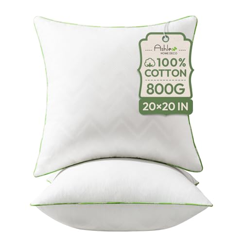 Ashler Home Deco 20x20 Pillows Insert (Set of 2) - Throw Pillow Inserts with 100% Cotton Cover - 20 Inch Square Interior Sofa Stuffer Pillow Inserts -Decorative White Couch Pillow - size: 20x20 Inch