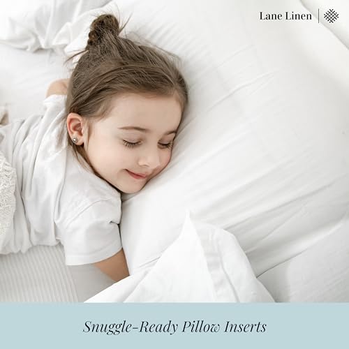 LANE LINEN 12x20 Pillow Insert - Set of 4 White Decorative Pillow for Sofa Bed, Fluffy Pillow Inserts for Throw Pillow Covers, Throw Pillows for Bed, Couch Pillows for Living Room, Bed Pillows - size: 12" x 20"