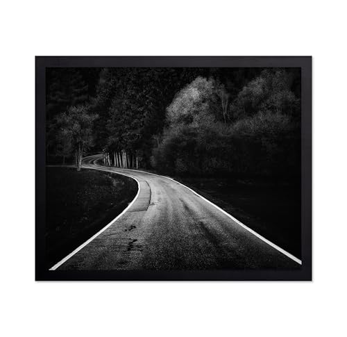 Monem Art Winding Road Through a Forest Print - Bavarian Paths Poster - Landscape Art - Monochrome Office or Living Room Decor - 12x16 Unframed Wall Art by Adam Dauria - color: Style-09, size: 12"L x 16"W