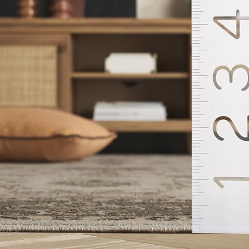 SAFAVIEH Vintage Collection Accent Rug - 2' x 3', Stone & Mouse, Oriental Traditional Distressed Viscose Design, Ideal for High Traffic Areas in Entryway, Living Room, Bedroom (VTG168-3410) - color: Stone/Mouse, size: 2' x 3' (Rectangular)