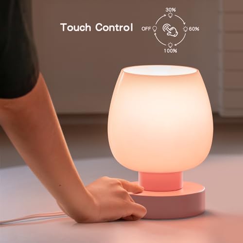 Touch Bedside Table Lamp - Pink Small Lamp for Bedroom with USB C+A Charging Ports 3 Way Dimmable, Nightstand Desk lamp with Glass Lamp Shade Warm LED Bulb Included, Simple Design Christmas - color: USB-pink_1pack, size: USB