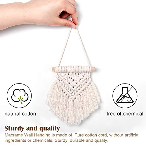 WILLBOND 5 Pcs Mini Macrame Wall Hanging Decor Boho Summer Handmade Woven Tapestry Tassel Wall Hanging Ornaments Christmas Tree Ornaments for Apartment Room Home Office Summer Christmas Decoration