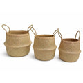 Seagrass Plant Basket Set of 3 with Handles – Handwoven Woven Basket Planter, Indoor Plant Basket & Plant Holder Basket, Natural Fiber Wicker Plant Pot Basket for Boho Farmhouse Home Decor - size: Set of 3 (with handles), style: With handles
