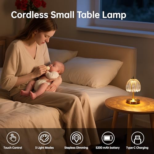 Shenmoyl Tulip Small Table Lamp, 5200mAh Cordless Touch Control Mini Table Lamp with 3 Color Temps & Stepless Dimming, Perfect for Small Spaces like Dressers, Bedsides, Bookshelves (Transparent Tulip) - color: Transparent Smalll, size: 1 Pack