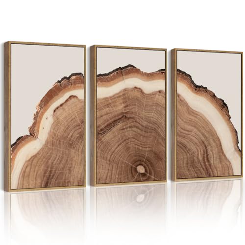 Drsoum Vintage Retro Tree Rings Wood Framed Wall Art Modern Wood Stump Nature Rustic Artwork Bedroom Living Room Ready to Hang 12x16in Natural Framed - color: Flower Boho Wall Art, size: 16L" x 12W", Natural Framed