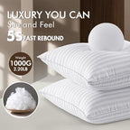 MIULEE 24x24 Pillow Inserts, Firm and Fluffy Decorative Square Throw Pillows for Couch Sofa Bed, Down Alternative with 100% Cotton Cover Pack of 2 - size: 24x24 Inch