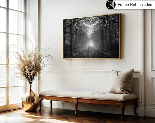 Monem Art Walking Down a Misty Path Print - Mysterious Foggy Road Poster - Dark Aesthetic Art - Monochrome Office or Bedroom Decor - 12x16 Unframed Wall Art by Adam Dauria - color: Style-01, size: 12"L x 16"W
