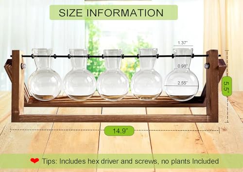 Kingbuy Plant Propagation Station with 5 Bulb Vases Retro Wooden Stand Desktop Glass Planter Terrarium for Hydroponics Plants Home Office Décor - size: 5 Bulb Vase