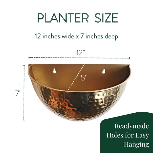 Allegorie Metal Wall Planter | Indoor or Outdoor Hanging Plant Pot | Farmhouse Decor & Boho Kitchen Decoration for Herbs & Succulents and Living wall 12x7 (Gold) - color: Gold