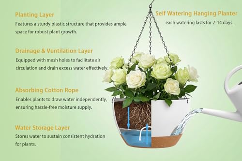 Hanging Planters 3-Pack, 8 Inch Self-Watering Hanging Pots with Drainage Hole and Chains, Plastic Planters for Indoor Outdoor（White Brown） - color: White Brown, size: 8 inches