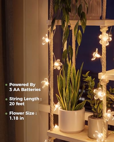 Bamworld Hanging Shelves with Grow Light Plant Hanger Indoor Window Plant Shelves Wood Plant Wall Shelf Window Sill Plant Shelf Indoor Hanging Plant Stand Living Room Decor Garden Boho Decor - size: 5Tier,light