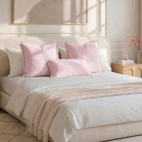 HOMEIDEAS Light Pink Velvet Throw Pillow Covers 20x20 Set of 2, Luxury Decorative Pillow Covers with Short Fringe Tassels, Modern Farmhouse Boho Cushion Covers for Sofa Couch Bed Neutral Home Decor - color: Pink, size: 20" x 20" (Pack of 2)