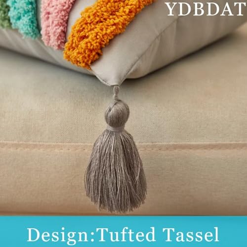 Boho Decorative Rainbow Colorful Throw Pillow Covers 18x18 Farmhouse Tufted Textured Pillow Covers with Tassels Woven Cushion Case for Sofa Bed Living Room Hallowmas Silver x1 - color: Silver, size: 18" x 18" (Pack of 1)