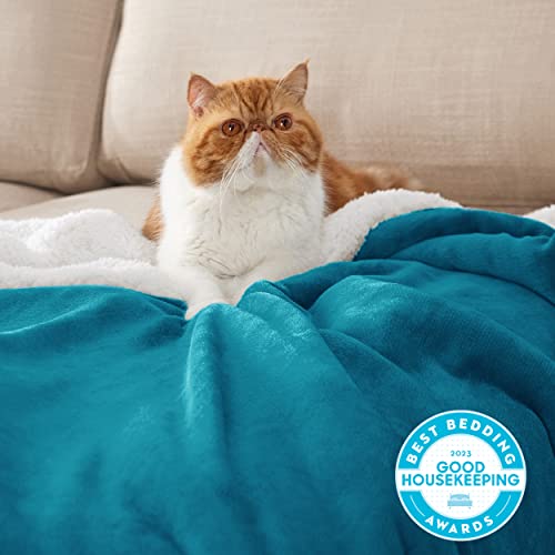 Bedsure GentleSoft Sherpa Fleece Throw Blanket for Couch, Non-Heated, Thick and Warm Throw for Women and Men, Soft Fuzzy Plush Blanket for Winter, Teal, 50x60 Inches - color: 03 - Teal, size: Throw (50" X 60")