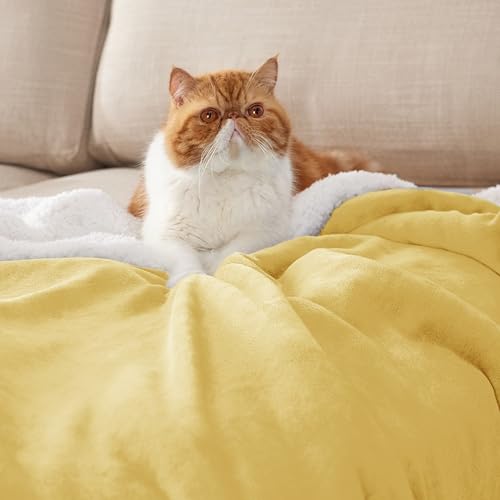 Bedsure GentleSoft Sherpa Fleece Throw Blanket for Couch, Non-Heated, Thick and Warm Throw for Women and Men, Soft Fuzzy Plush Blanket for Winter, Yellow, 50x60 Inches - color: 09 - Yellow, size: Throw (50" X 60")