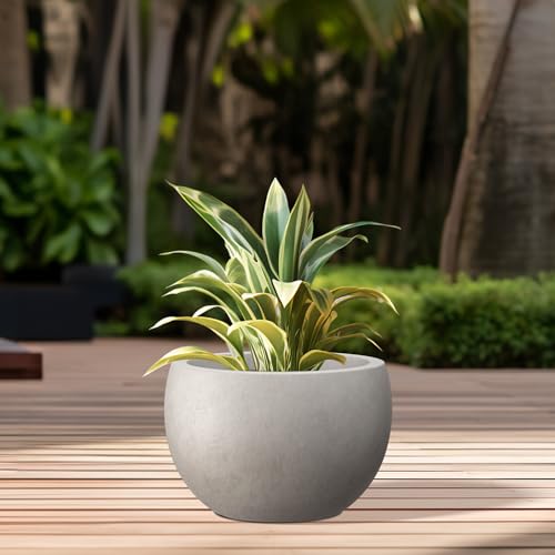 Kante 10 in x 15-16 in Low Concrete Planter, Wide Bowl Plant Pot with Drainage Hole & Rubber Plug – Breathable Handmade Cement Container for Succulents, Tabletop, Patio, Weathered Concrete - color: Weathered Concrete, size: 15.7" d