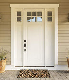 DII Colorful Design Natural Coir Doormat, 18x30, Leopard Spots