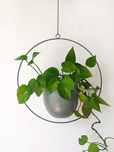 RISEON Boho Green Metal Plant Hanger,Metal Wall and Ceiling Hanging Planter, Modern Planter, Mid Century Flower Pot Plant Holder, Minimalist Planter for Indoor Outdoor Home Decor - color: Green, size: Round shape