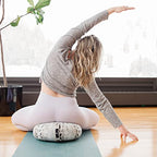 Hugger Mugger Zafu Meditation Cushion - Support in Cross-Legged Sitting, Buckwheat Filled, Durable Fabric, Convenient Handle, Handmade in USA - color: Wild Sky