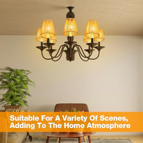 Riakrum 6 Pcs Chandelier Lamp Shades Set Small Lamp Shade for Pendant Wall Ceiling Lights Candle Bulbs Clip on Fitter Lampshade (Rattan,Brown) - color: Brown, size: Small - Rattan