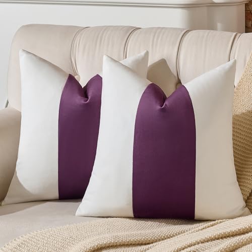 AmHoo Pack of 2 Velvet Panel Cotton Pillow Covers Decorative Pillowcase Cushion for Couch Sofa Bedroom 20 x 20-Inch Dark Purple - color: Dark Purple, size: 20" x 20" (Pack of 2)