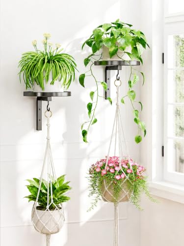 iDavosic.ly Wall Plant Holder with Macrame Hanger Set of 2 for Indoor Outdoor, Metal Hanger with Hook, Floating Flower Display Stand for Window, Space Saving & Easy to Assemble (Plants Not Included), Black - color: Black with 2 Hanger, size: 2 Pack