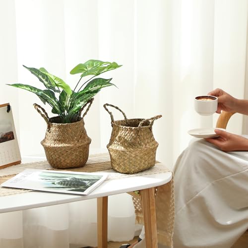 Qunclay 4 Pcs Woven Seagrass Baskets Belly Basket Folding Boho Natural Plant Pot with Handles Round Decorative Wicker Large Indoor Planter for Home Outdoor Tree Planters Decor (XXS,6.3''dx5.5''h) - size: XXS,6.3''Dx5.5''H