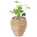 Vintiquewise Woven Round Flower Pot Planter Basket with Leak-Proof Plastic Lining- Small - size: Small