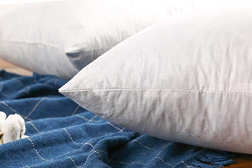 JA COMFORTS 28×28 Premium Goose Down Feather Throw Pillow Inserts(Set of 1)-5% Down Filling,High Filling Weight,250 TC Cotton Cover, Square, White - style: 28×28 (1 Pack)