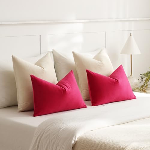 DEZENE Euro Sham Covers 24x24 Cream: Pack of 2 Cozy Soft Velvet Square Modern Luxury Decorative Throw Pillow Cases for Sofa Couch Living Room Bed Home Decor - color: Vanilla Ice, size: 24" x 24" (Pack of 2)