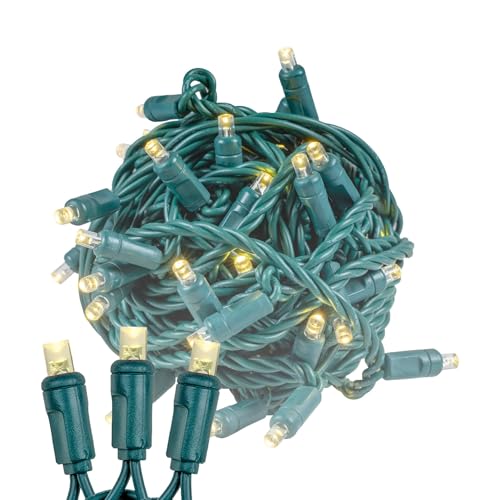 Novelty Lights 25ft 50 LED Warm White Christmas Lights Outdoor/Indoor, 6" Spacing, Green Wire String Lights for Festive Xmas Lighting, IP55, UL Listed, Dimmable, Connectable - color: Warm White