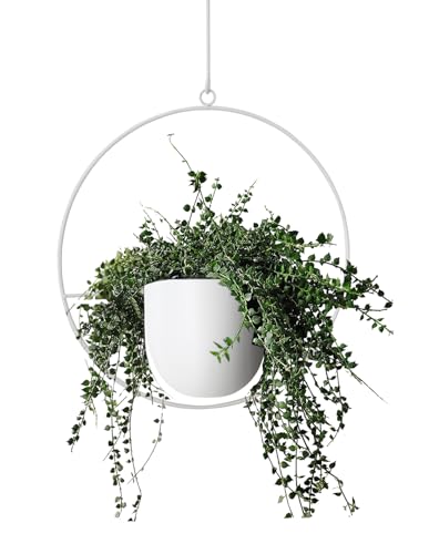 Hanging Planter Indoor Modern Boho Plant Pot Metal Wall and Ceiling Plant Holder, Mid Century Minimalist Flower Pot for Hanging Plants(White) - color: White, size: 1PC
