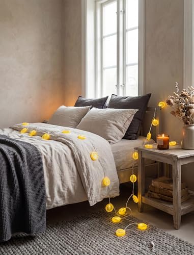 Lemon String Lights, 8.5Ft Summer Patio String Lights with 10 LED Yellow Lemon Slice Lights, Hanging Waterproof Connectable Outdoor Decorative Lights for Indoor Home Garden Christmas Wedding Party - color: lemon lights