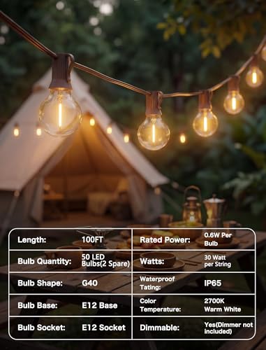 SUNSGNE 100FT Brown Outdoor String Lights, Shatterproof LED Globe String Lights with 50 G40 LED Bulbs, Waterproof Connectable Hanging Light for Backyard Patio Porch Balcony Party Decor, E12 Base - color: Warm White-Brown, size: 100FT