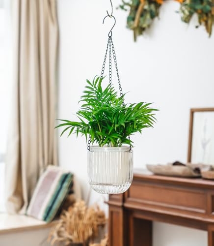 Josteve 5.2 Inch 2 Pcs Self Watering Hanging Planter Indoor Plant Pots Drainage Holes, Outdoor Small Hanging Planters Flower Pot Basket, Visible Water Level, Plant Hanger Home Decor, Gardening - color: White, size: 2*5.2 inch