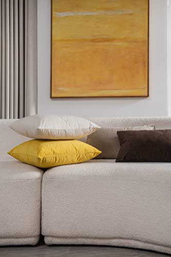 DEZENE Throw Pillow Covers 16x16 Cream: Pack of 2 Cozy Soft Velvet Square Modern Luxury Decorative Throw Pillow Cases for Sofa Couch Living Room Bed Home Decor - color: Vanilla Ice, size: 16" x 16" (Pack of 2)