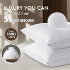 MIULEE 20x20 Pillow Inserts, Firm and Fluffy Decorative Square Throw Pillows for Couch Sofa Bed, Down Alternative with 100% Cotton Cover Pack of 2 - size: 20x20 Inch