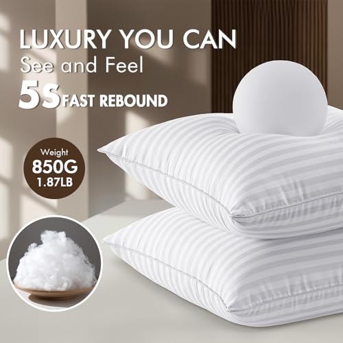 MIULEE 20x20 Pillow Inserts, Firm and Fluffy Decorative Square Throw Pillows for Couch Sofa Bed, Down Alternative with 100% Cotton Cover Pack of 2 - size: 20x20 Inch