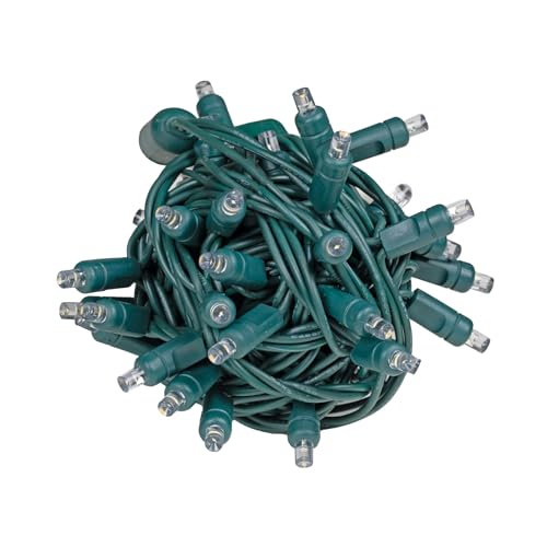 Novelty Lights 25ft 50 LED Sun Warm White Christmas Lights Outdoor/Indoor, 6" Spacing, Green Wire String Lights for Festive Xmas Lighting, IP55, UL Listed, Dimmable, Connectable - color: Sun Warm White