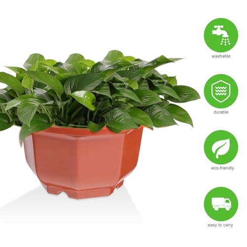 DOITOOL 10Pcs Plastic Hanging Planters, 6.29" Hanging Flower Pots Plant Basket Planter for Outdoor Indoor Plants Garden Balcony Decoration - color: Brown