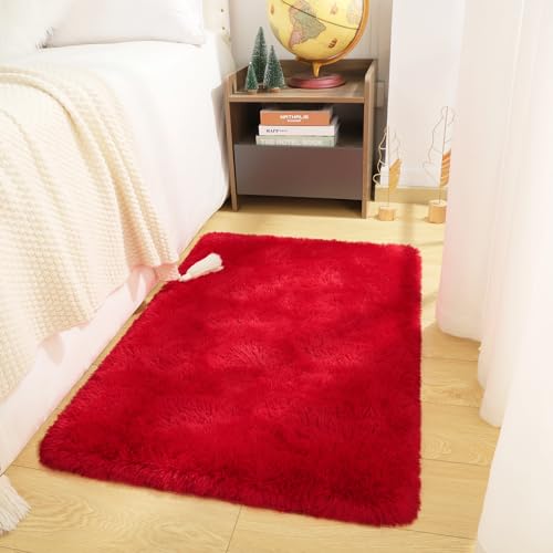 DETUM Small Red Rug 2x3 Fluffy Area Rug for Bedroom Kitchen Entryway Hallway Washable Super Soft Throw Carpet for College Dorm Plush Rugs for Kids - color: Red, size: 2 x 3 feet
