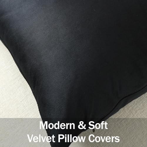 DEZENE Lumbar Pillow Covers 12x20 Black: Pack of 2 Cozy Soft Velvet Rectangular Modern Luxury Decorative Throw Pillow Cases for Sofa Couch Living Room Bed Home Decor - color: Caviar, size: 20" x 12" (Pack of 2)