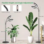Aumtrly Large Plant Light for Indoor Plants, 2 Head Full Spectrum Grow Light with 68" Adjustable Stand for Growing Large Tall Plants, Black Halo Floor LED Grow Lamp with 16 Hour Timer - size: 2 head 68inch/black