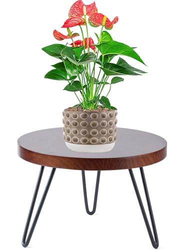Plant Stand Indoor Outdoor, Wooden plant Stool, Mid Century Plant Stand for Indoor Plants, Wood Modern Plant Holder Rattan Flower, Low Short Boho Rustic Planter Stand Fit 5-15 Inch Pot (Walnut, M) - size: M