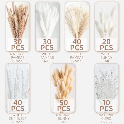 220PCS Natural Dried Pampas Grass Boho Home Decor Bouquet Phragmites Dried Flowers Bouquet for Wedding Floral Arrangements Home Decorations (220PCS) - size: 220 Pcs